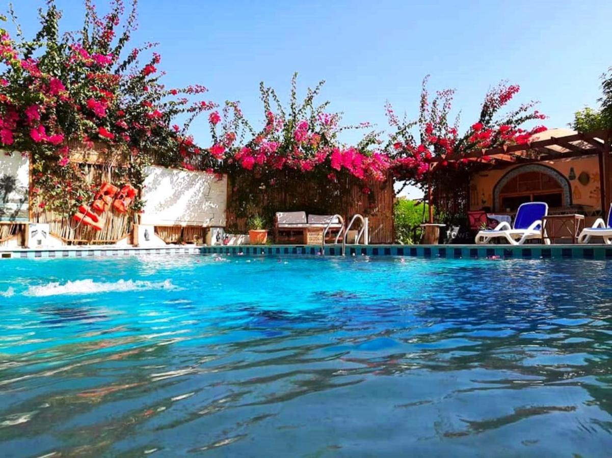 Отель Nile Compound Луксор Экстерьер фото