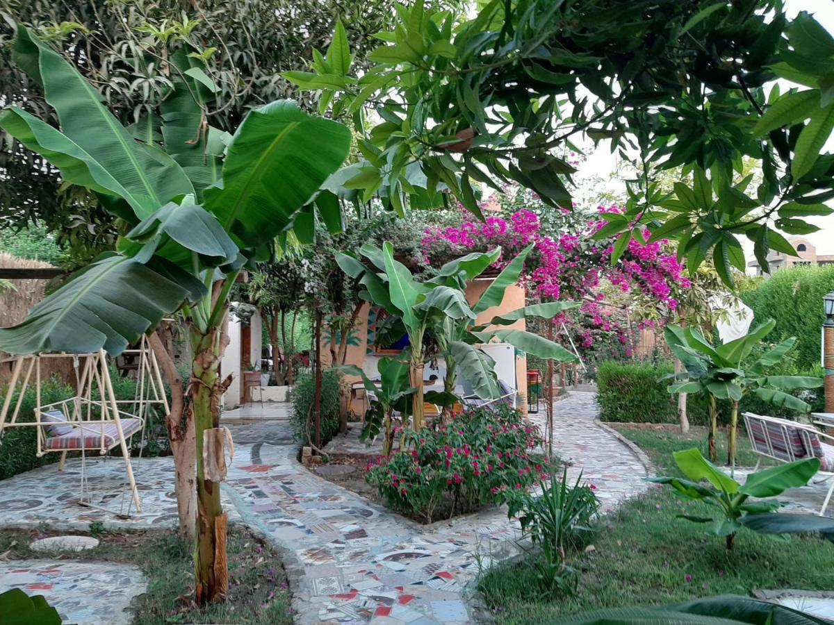 Отель Nile Compound Луксор Экстерьер фото